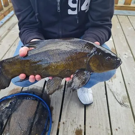 Waterfront - South *