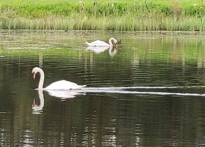 Lägenhet Waterfront - South *