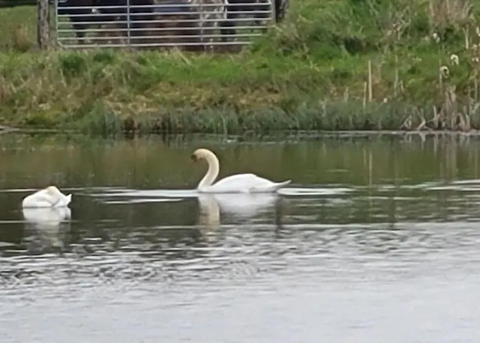 Lägenhet Waterfront - South