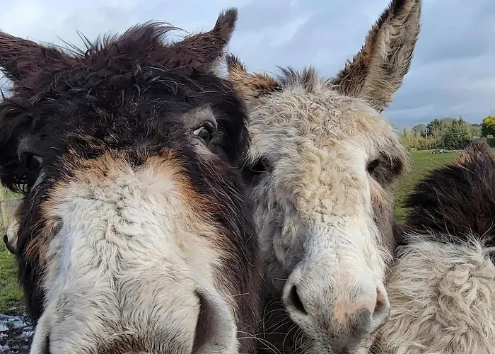 Lägenhet Waterfront - South