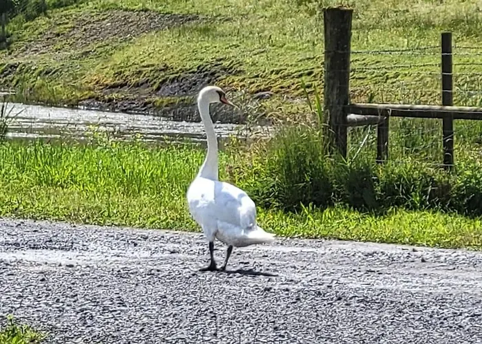 Apartamento Waterfront - South