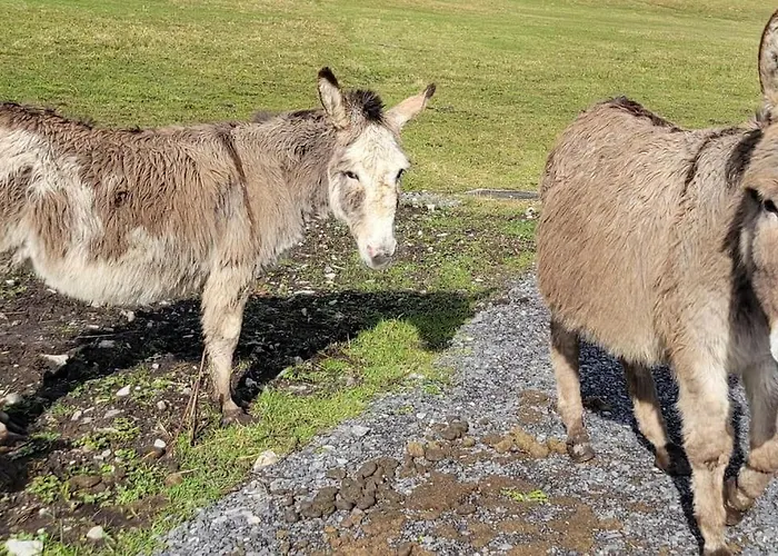 Apartamento Waterfront - South *