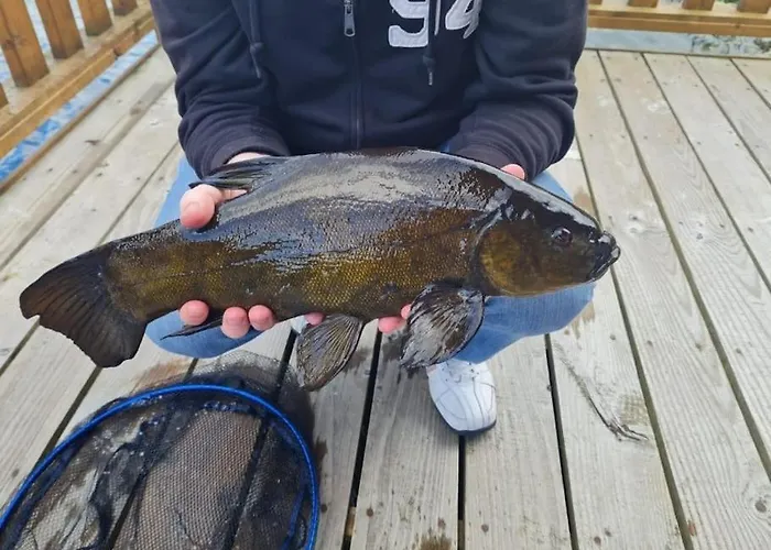 Waterfront - South *