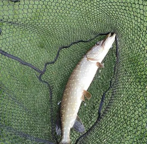 Waterfront - South * Ballinamore