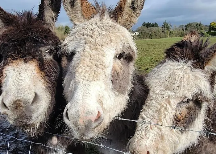 Apartamento Waterfront - South