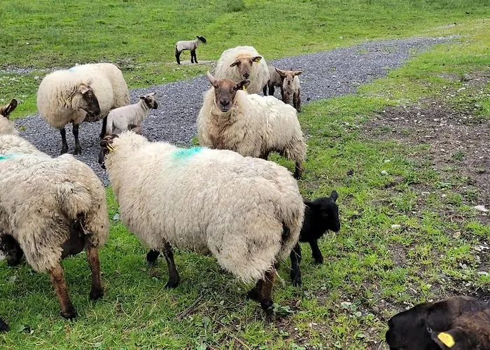 Waterfront - South Lägenhet *